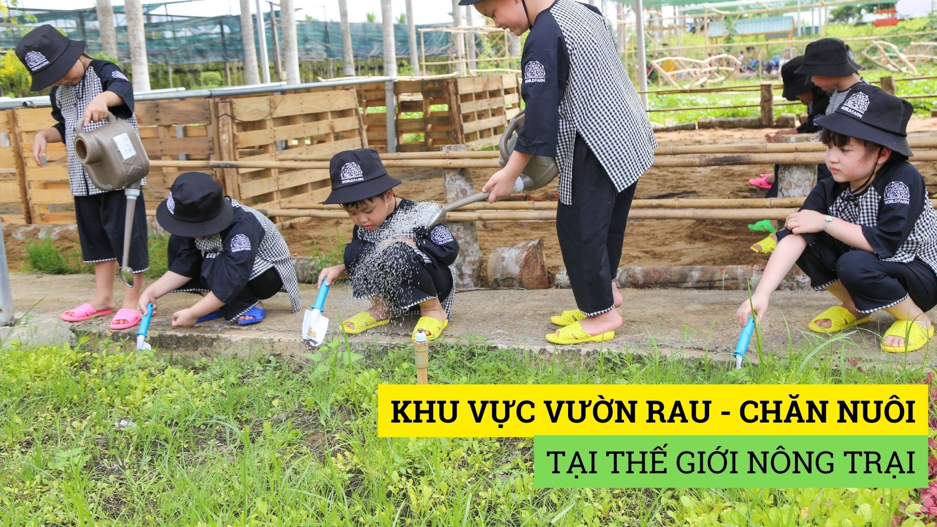 Các em sẽ được khám phá thiên nhiên, rèn luyện kỹ năng quan sát, trải nghiệm một ngày làm nông dân