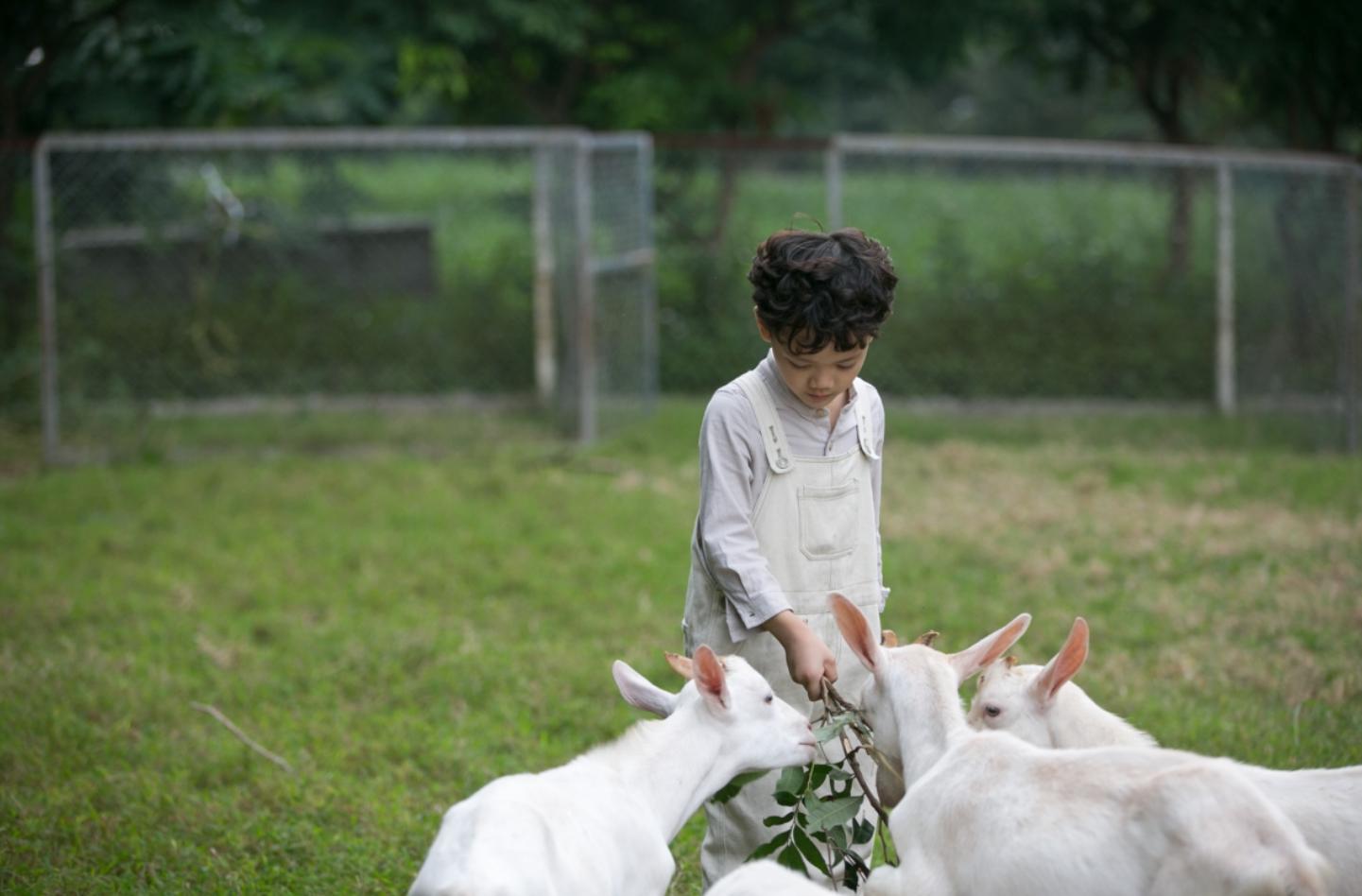 Trang trại Detrang Farm (trang trại Dê TRắng) sở hữu diện tích 12ha nằm dưới chân dãy núi Ba Vì